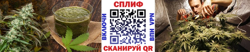 Еда ТГК марихуана Любим